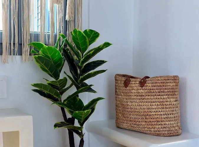 Appart hôtel Ariti Seaside Náoussa